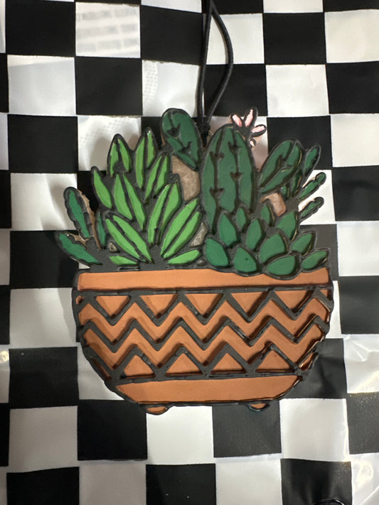 Succulent Plants